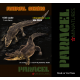 CROCODILES/ALLIGATORS ( set 1)
