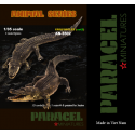 CROCODILES/ALLIGATORS ( set 2)