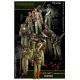 NVA BIG SET 2 ( Walking with NVA)