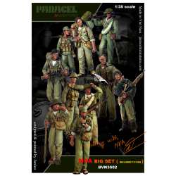 NVA BIG SET 2 ( Walking with NVA)