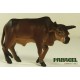 VIETNAMESE COW 2