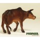VIETNAMESE COW 2
